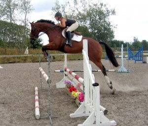 Andy_jump_1.00.JPG