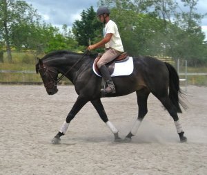 IMG_0604_1.JPG