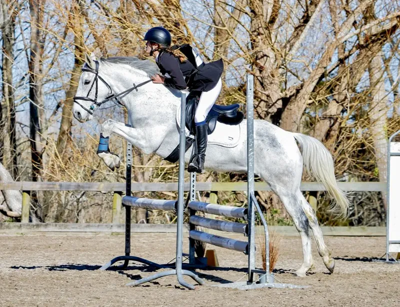 Horse progressing through a Brookby Heights training programme
