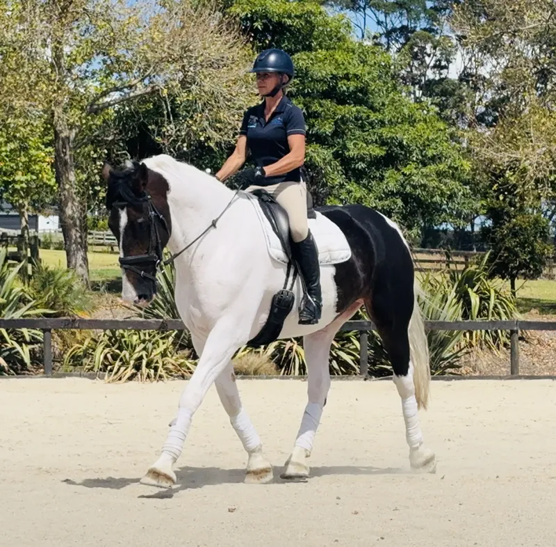 Horse training facilities and rural environment at Brookby Heights