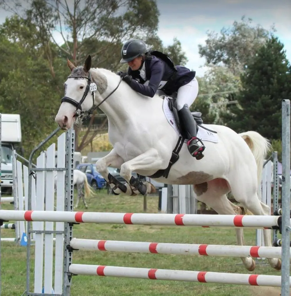 Karen working with a sport horse at Brookby Heights