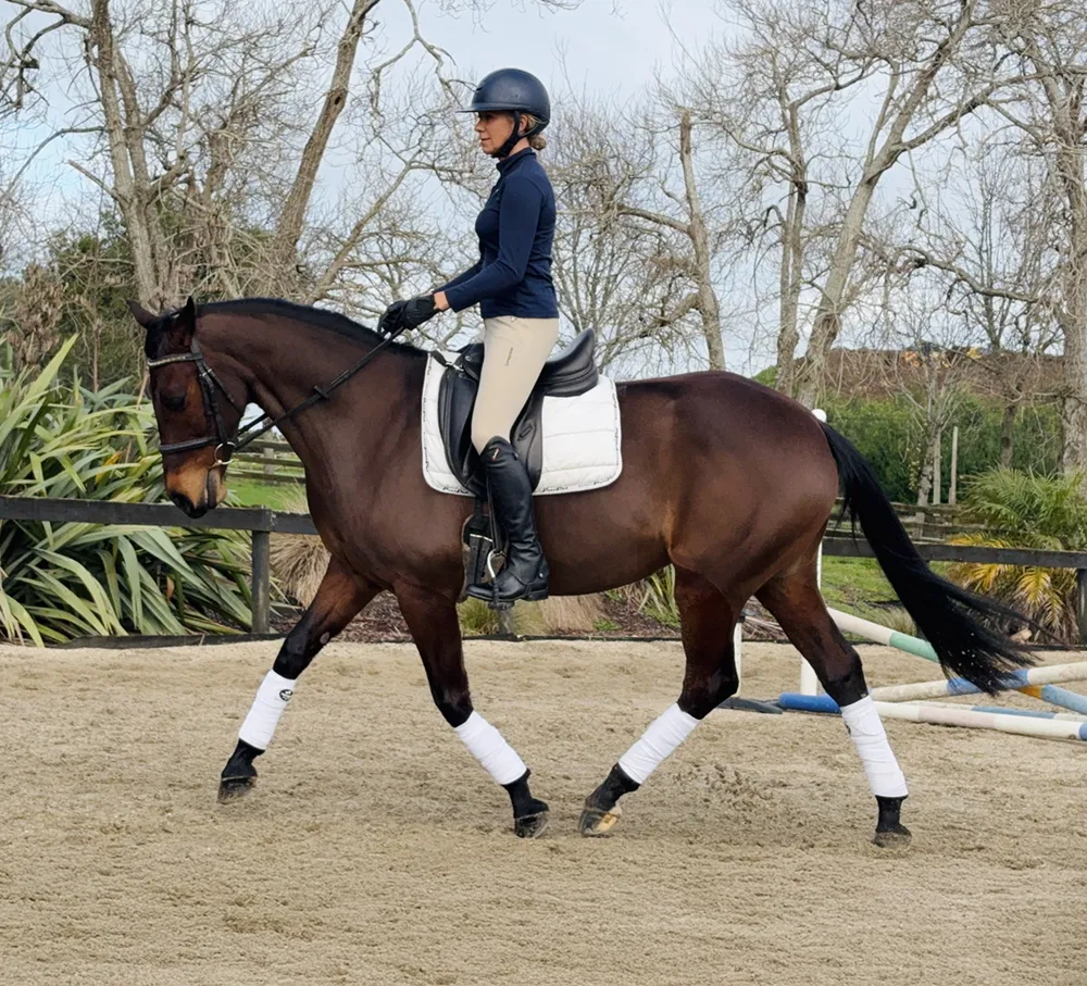 Dressage training at Brookby Heights