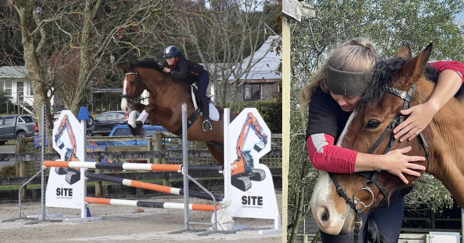we love horses at brookby heights