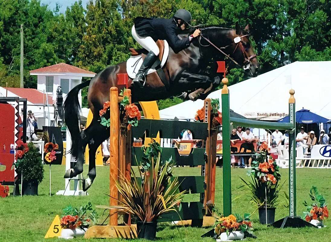 Karen Teague schooling a horse over a jump