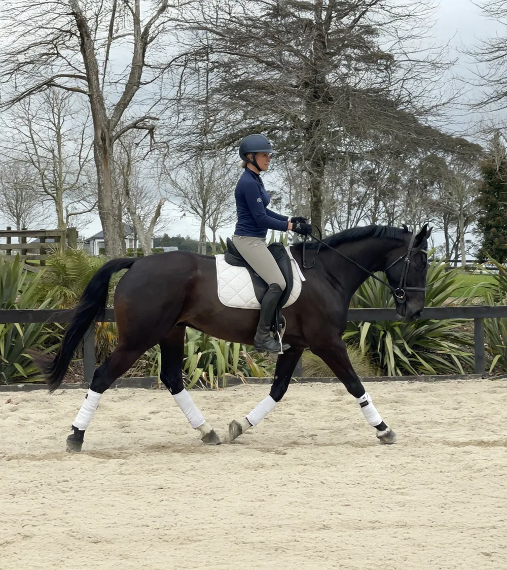 Problem horse training at Brookby Heights
