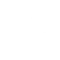 confident & mentally settled horse