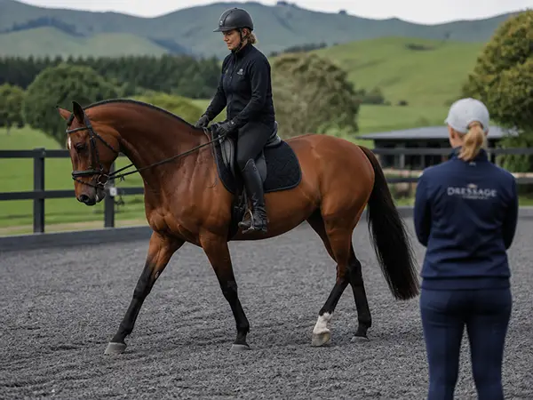 individual thoroughbred fitness programme at brookby heights